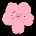 WWW,804av·COM网站APPAPP应用